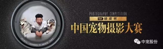 首页| CA88集团中国唯一官方网站