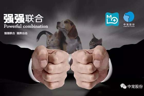 首页| CA88集团中国唯一官方网站