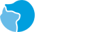 CA88股份