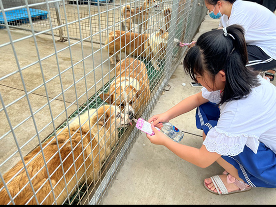 首页| CA88集团中国唯一官方网站